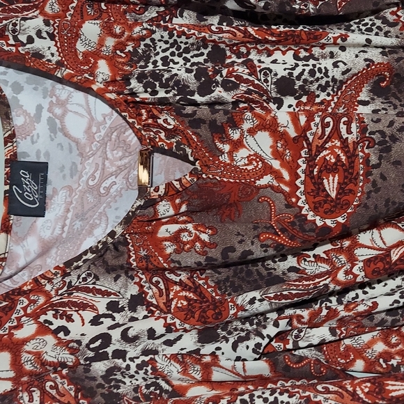 Animal print Tunic - Picture 2 of 7